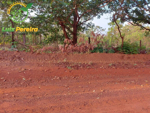 Imagem 6 de 12 de Fazenda À Venda Em Abreulândia - 696,96 Hectares (dupla Aptidão) - 2023