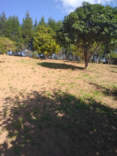 Imagem 9 de 13 de Excelente Oportunidade De Negócios Chácara Com 10.600m² De Terreno E 02 Casas - Bairro Ibiúna De Cima - Ibiúna/sp - Ch684v