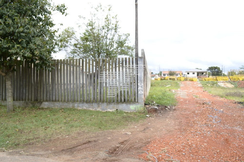 Imagem 14 de 15 de Terreno Com 4917m² No Capão Raso, Próximo Ao Terminal. - Re61432378