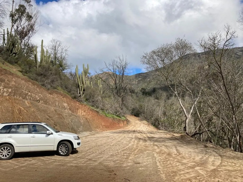 Sitio En Venta En Curacaví