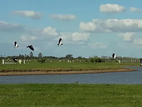 Imagen 4 de 15 de Terreno A La Laguna En Sebastian Gaboto, Pueblos Del Plata