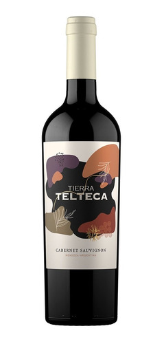 Vino Tinto Cabernet Sauvignon Tierra Telteca 750 Ml - Maipú