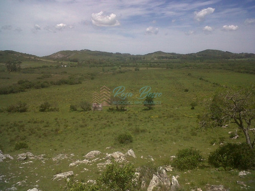 Imagen 12 de 13 de Chacra A 15 Minutos Punta Ballena. - Maldonado