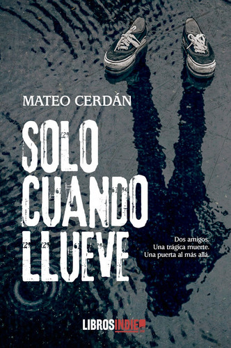 Solo Cuando Llueve, De Cerdán, Mateo. Editorial Libros Indie, Tapa Blanda En Español