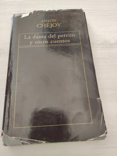 Libro La Dama Del Perrito Y Otros Cuentos