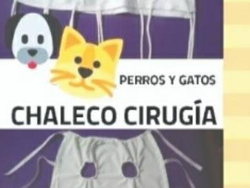 Chaleco Camisolin Cirugia Perros Y Gatos 100% Algodon