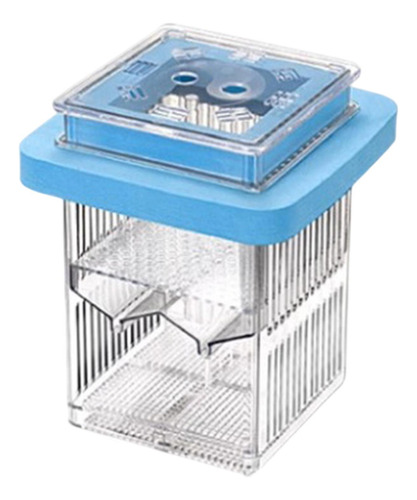 Mãe Fish Incubator Aquário Incubador Azul