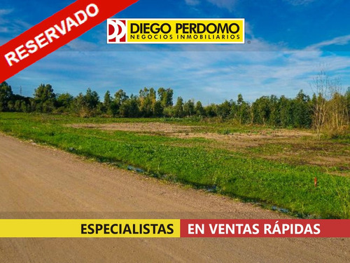 Terrenos, En Venta, Playa Pascual