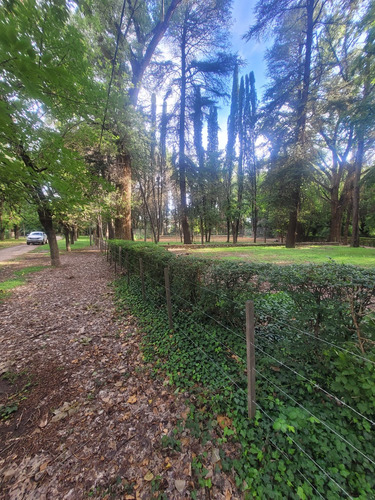 Terreno En Venta En Nono
