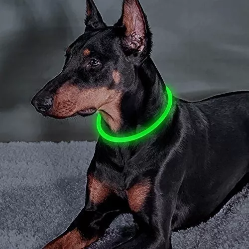 Collar luz led recargable USB para perros collar seguridad 500m alcance,  collar led para perros, collares led para perros, venta collar luz para  perros