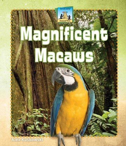 Magnificent Macaws (unusual Pets)