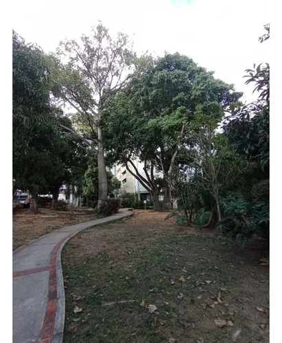 Casa En Venta - San Bernardino