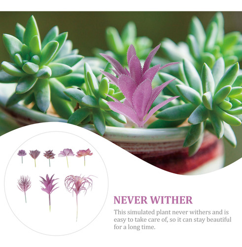 Set De 8 Plantas Suculentas Artificiales Violetas Para Decor