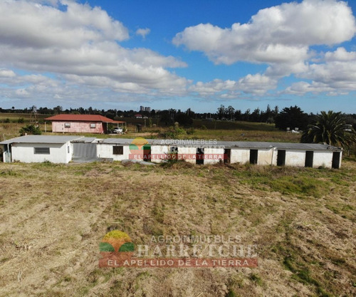 Imagen 9 de 30 de Chacra 4 Has Cno Calpino En Montevideo Rural