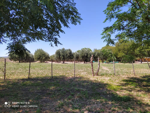 Terrenos Con Escritura.