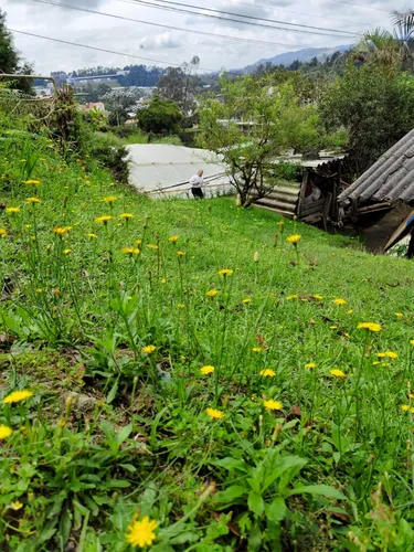 Venta Lote En Guarne
