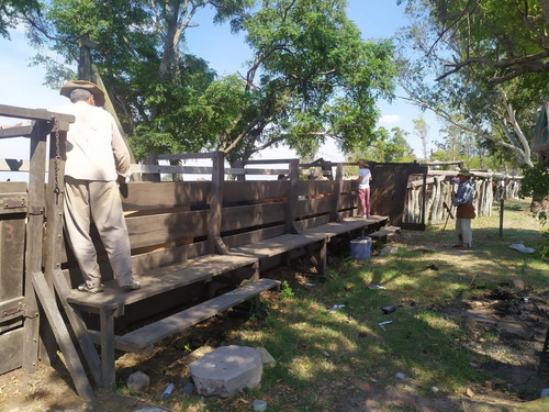 Alquiler Campo Paso De Los Libres