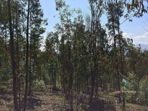 F-190 Valle Alegre, Quintero, 20.000m2
