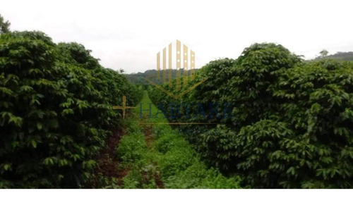 Imagem 9 de 15 de Fazenda Para Venda Em Ouro Fino, - - Fazenda 0_1-2221666