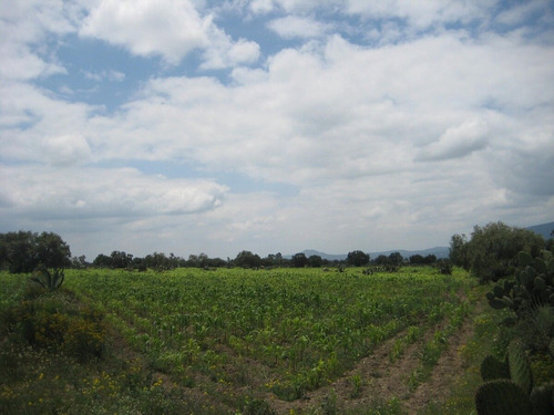 Terreno En Venta, Plano En Otumba De Gomez Farias. Edo De México