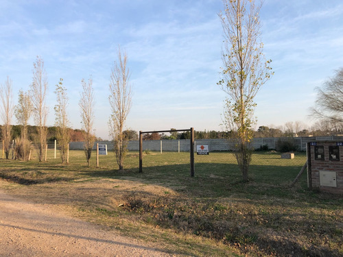 Imagen 8 de 11 de Lote De 900 Mts2 En Las Glicinas 2