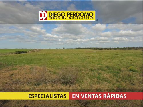 Campo 23,9 Has En Venta, San José