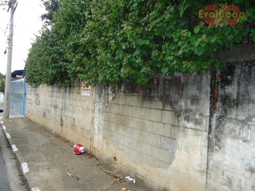 Imagem 3 de 3 de Terreno Comercial - Av. Coronel Peroba - Te0328