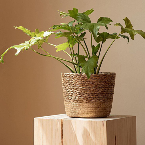 Cesta Tejida Para Macetero, Cestas De Almacenamiento, M.