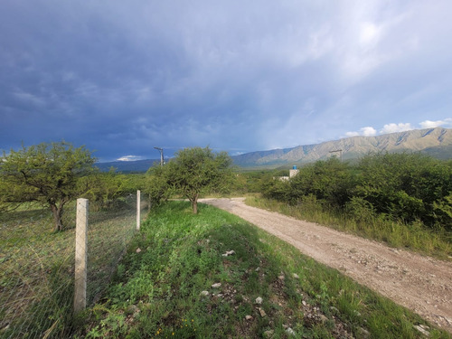 Terreno En Venta En Las Rabonas