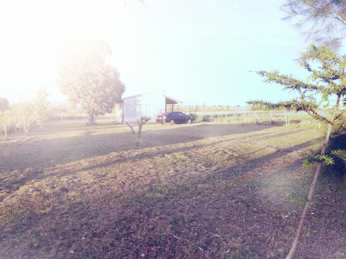 Vendo Casita De Campo Con 3000m2 En Rosario Del Tala