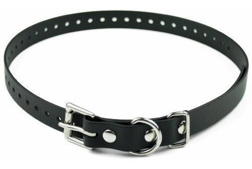 Collar De Perro Pequeño