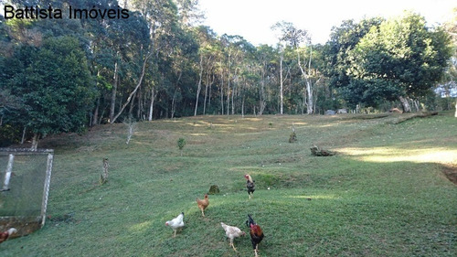 Imagem 29 de 30 de Chacara - 1653 - 34237545