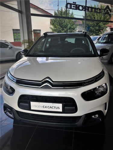 C4 Cactus Thp 165 Eat6 Shine Am21