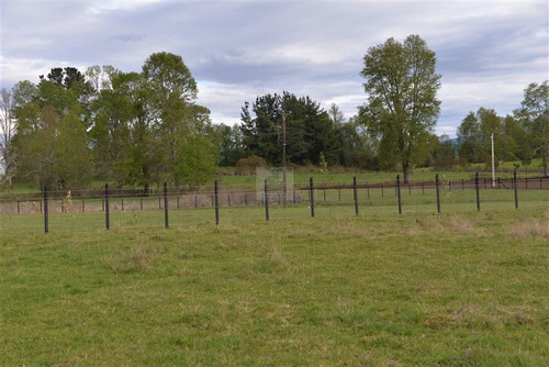 Imagen 9 de 13 de Sitios Planos De 5.000 M2 - Panguipulli - Ultimas Unidades