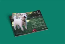 Comprar Calendarios Almanaques 2024 100% Imantados Publicidad