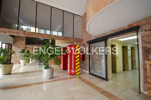 Oficina Planta Libre, Con Mobiliario, En 313 M2
