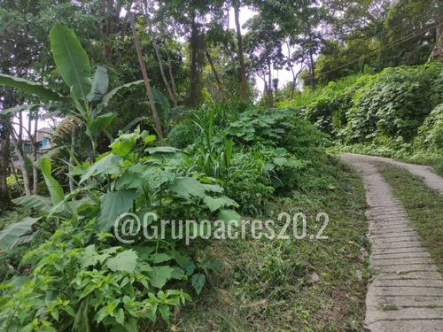 Imagen 3 de 4 de Se Vende Terreno Comercial A Orilla De Calle En San Diego De Los Altos, Edo. Miranda. Rz