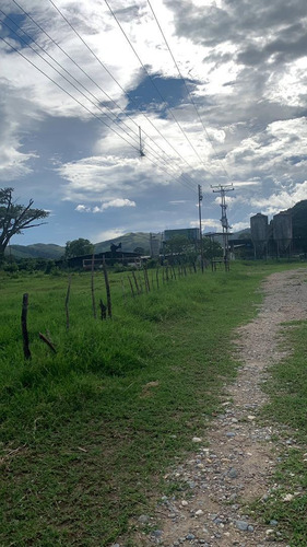 Finca Agropecuaria En Montalbán Cod. Indif-046