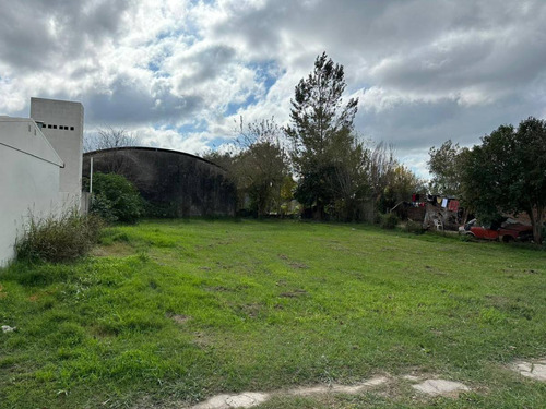 Lote En San Carlos Centro