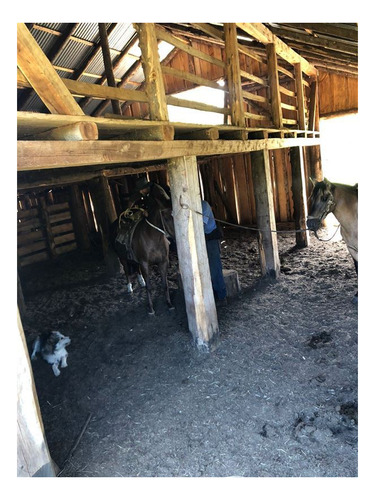 Imagen 8 de 13 de Se Vende Campo Agrícola En Segundon Corral Cochamó