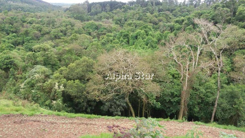 Imagem 2 de 22 de Área À Venda, 44724 M² Por R$ 3.800.000 - Parque Varanguera - São Roque/sp - Ar0047