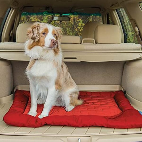 Cama Impermeable Para Perros Kurgo, Cama Exterior Para Perro