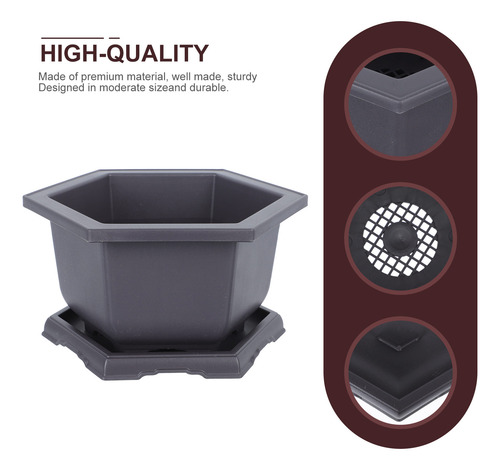 Maceta Hexagonal Suculent Planters