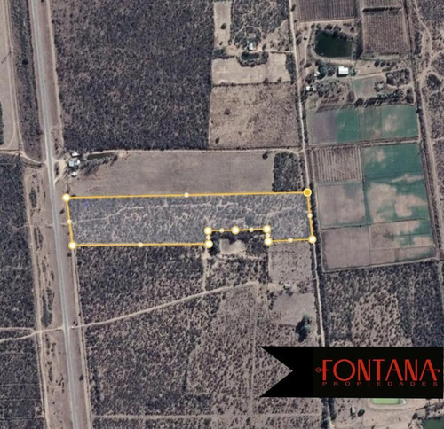 Imagen 8 de 10 de Campo En Venta En Nogolí