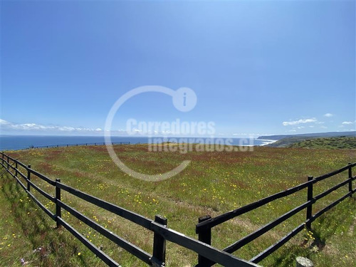 Imagen 7 de 14 de Sitio En Venta En Pichilemu