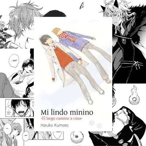 Mi Lindo Minino: El Largo Camino A Casa - Tomodomo - Bl