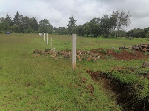 Imagen 4 de 12 de Terreno En Venta Santo Tomás Allende
