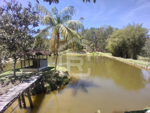 Imagem 20 de 30 de Lindo Sítio Em Juquitiba Com Imenso Lago, Piscina, Nascentes - 92 - 70323419