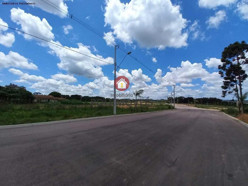Imagem 9 de 15 de Terreno Para Venda Em Araucária, Costeira - Te0763_2-1352420