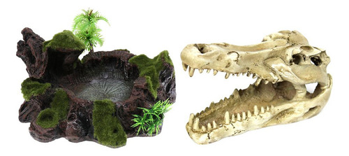 Terrario Decorativo Para Reptiles, Serpientes, Cavernas,